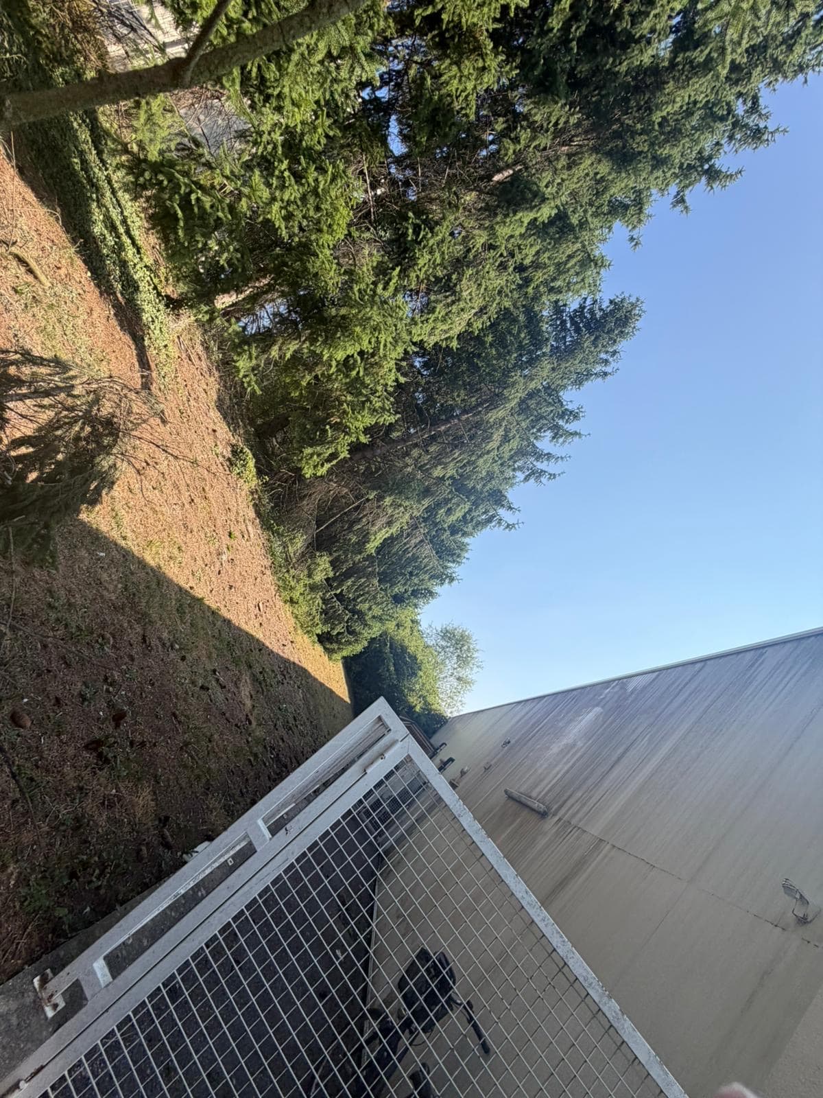 Chantier JM Élagage Épagny Metz-Tessy — réalisation 1