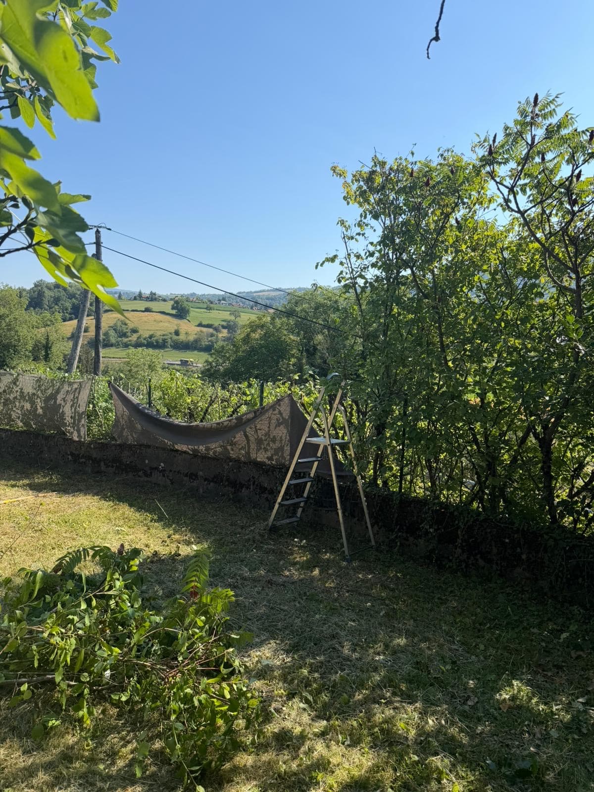 Chantier JM Élagage Épagny Metz-Tessy — réalisation 2