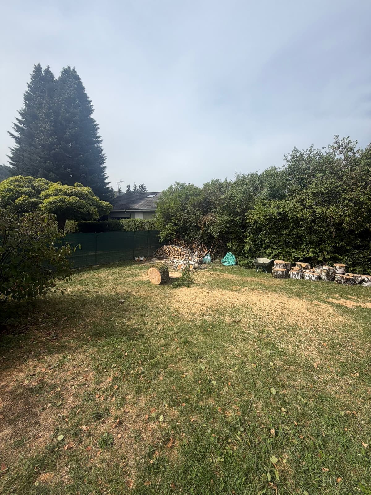 Chantier JM Élagage Épagny Metz-Tessy — réalisation 7